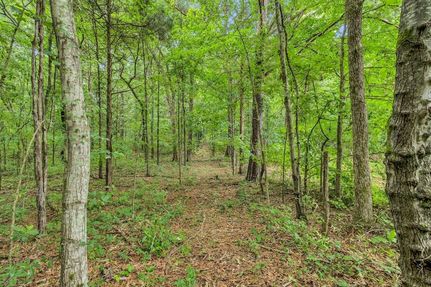 Property for sale in Dickson County, Tennessee