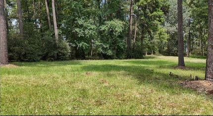 Undeveloped Land for sale in San Jacinto County, Texas