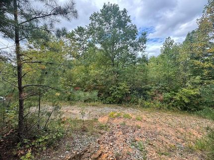 Undeveloped Land for sale in Cherokee County, North Carolina