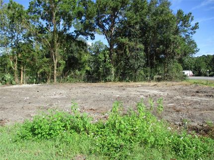Undeveloped Land for sale in Nassau County, Florida