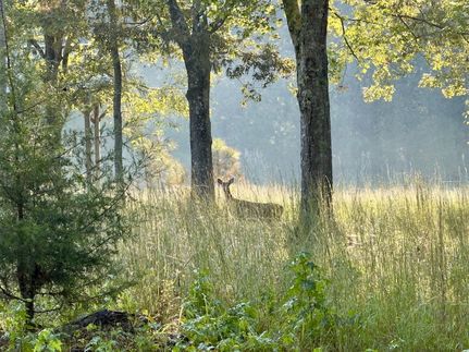 Property for sale in Lewis County, Tennessee