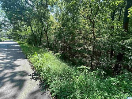 Undeveloped Land for sale in Jefferson County, Alabama