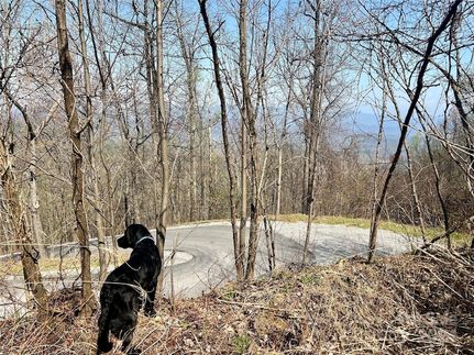 Undeveloped Land for sale in McDowell County, North Carolina