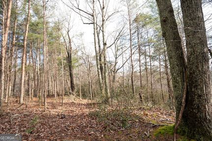 Property for sale in Pickens County, Georgia