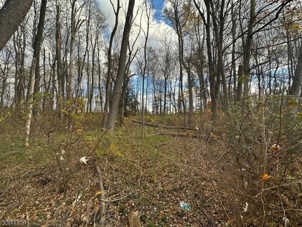 Undeveloped Land for sale in Warren County, New Jersey
