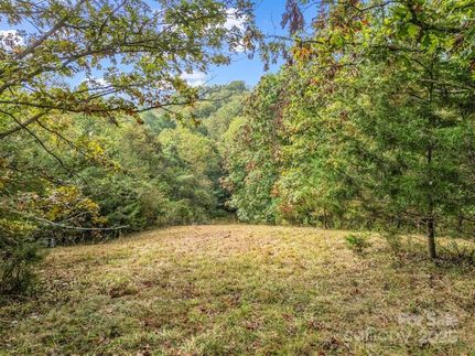 Property for sale in Buncombe County, North Carolina