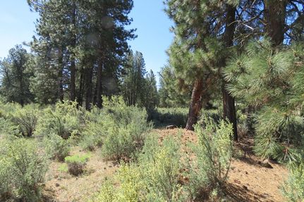 Residential Property for sale in Klamath County, Oregon