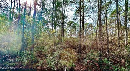 Property for sale in Jackson County, Mississippi