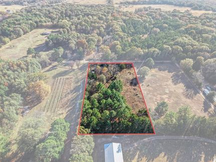 Undeveloped Land for sale in Fannin County, Texas