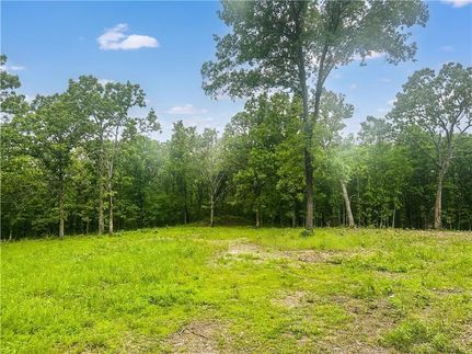 Property for sale in Benton County, Missouri