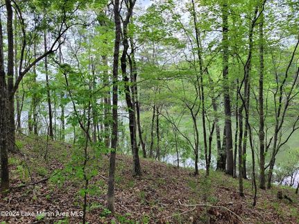 Undeveloped Land for sale in Tallapoosa County, Alabama