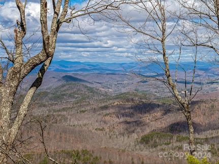 Property for sale in Rutherford County, North Carolina