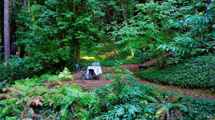 Property for sale in Sonoma County, California