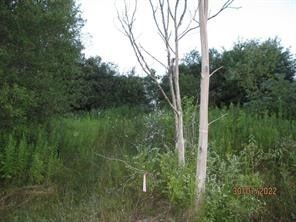 Property for sale in Chenango County, New York