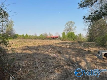 Property for sale in Morgan County, Alabama
