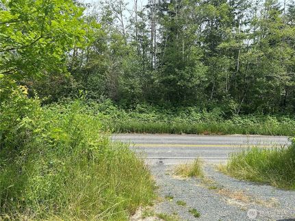 Undeveloped Land for sale in Skagit County, Washington