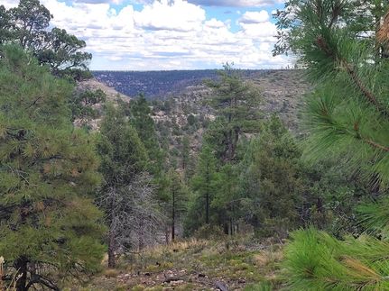 Undeveloped Land for sale in Coconino County, Arizona