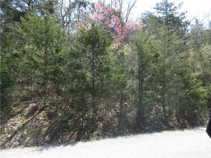 Property for sale in Carroll County, Arkansas