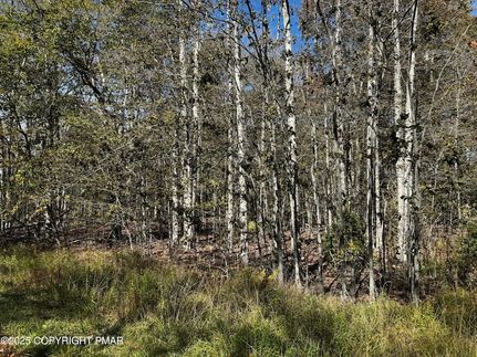 Undeveloped Land for sale in Monroe County, Pennsylvania