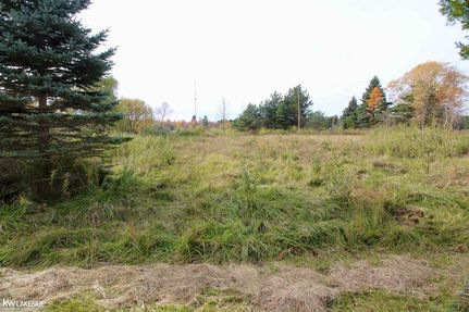 Undeveloped Land for sale in Huron County, Michigan