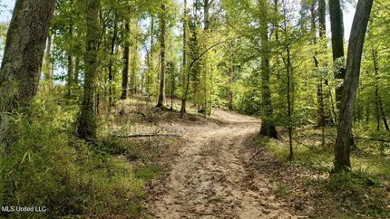 Undeveloped Land for sale in Madison County, Mississippi