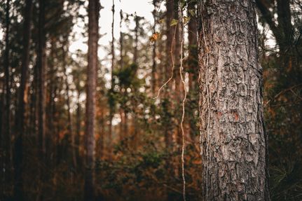 Property for sale in Washington County, Georgia