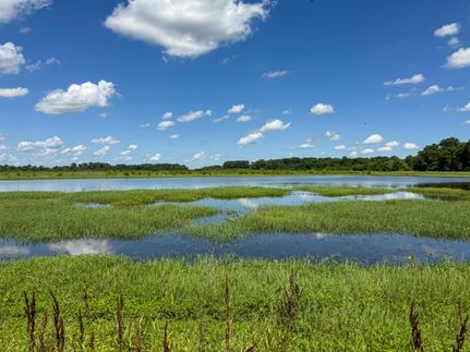 Riverfront Property for sale in Lawrence County, Arkansas