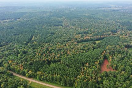 Property for sale in Montgomery County, Mississippi