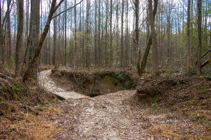 Recreational Property for sale in Carroll County, Mississippi