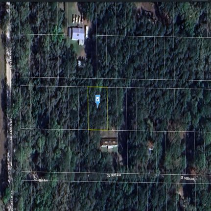 Undeveloped Land for sale in Dixie County, Florida