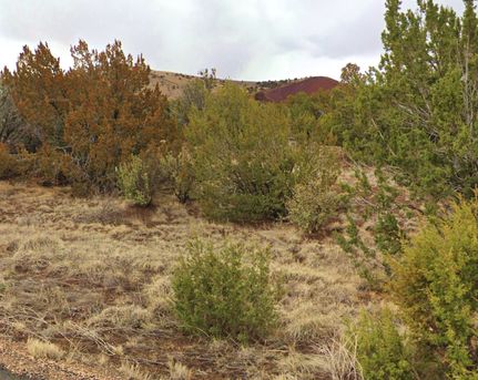 Property for sale in Apache County, Arizona