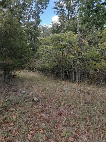 Undeveloped Land for sale in Harrison County, Kentucky