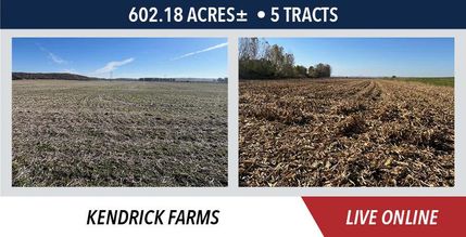 Property for sale in Pike County, Illinois