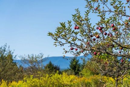 Property for sale in Greene County, New York