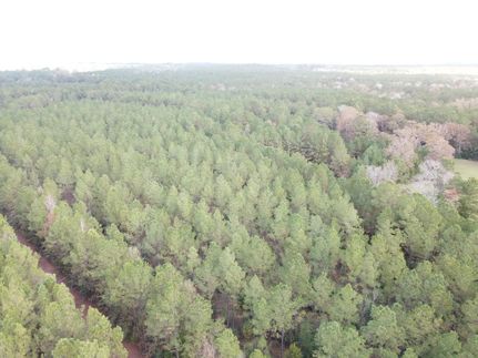 Timberland Property for sale in Tyler County, Texas