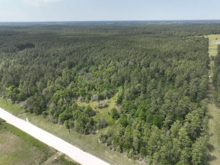 Hunting Land for sale in Walker County, Texas