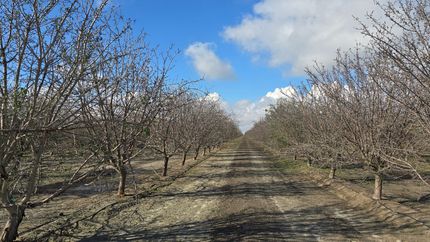 Residential Property for sale in Fresno County, California