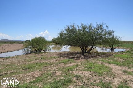 Property in Hidalgo County, New Mexico
