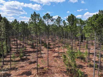 Undeveloped Land for sale in Tattnall County, Georgia