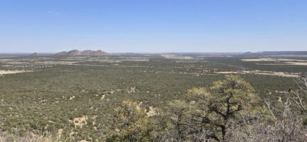 Undeveloped Land for sale in Torrance County, New Mexico