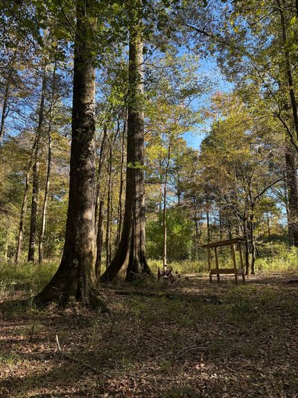 Recreational Property for sale in Attala County, Mississippi