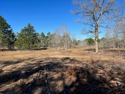 Property for sale in Bastrop County, Texas