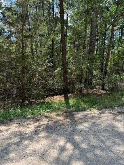 Property for sale in Bastrop County, Texas