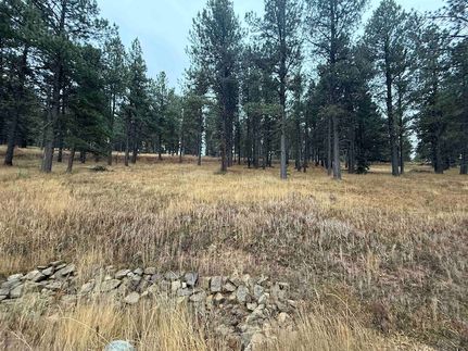 Undeveloped Land for sale in Colfax County, New Mexico