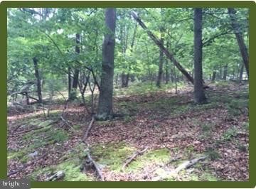 Property for sale in Mineral County, West Virginia