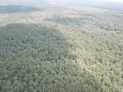 Property for sale in Jasper County, Texas