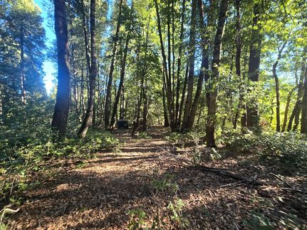 Property for sale in Trinity County, California
