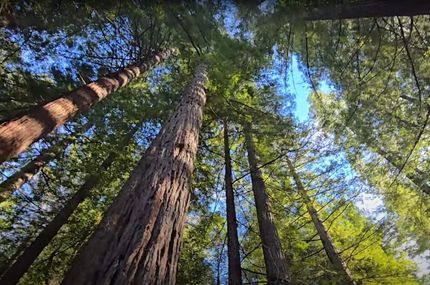 Property for sale in Humboldt County, California