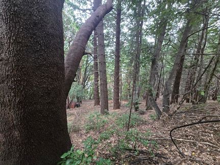 Property for sale in Humboldt County, California