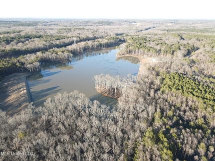 Undeveloped Land for sale in Madison County, Mississippi